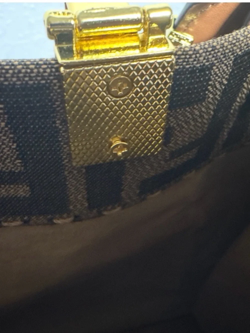 Fendi Brown Monogram Tote with Tortoiseshell Handles